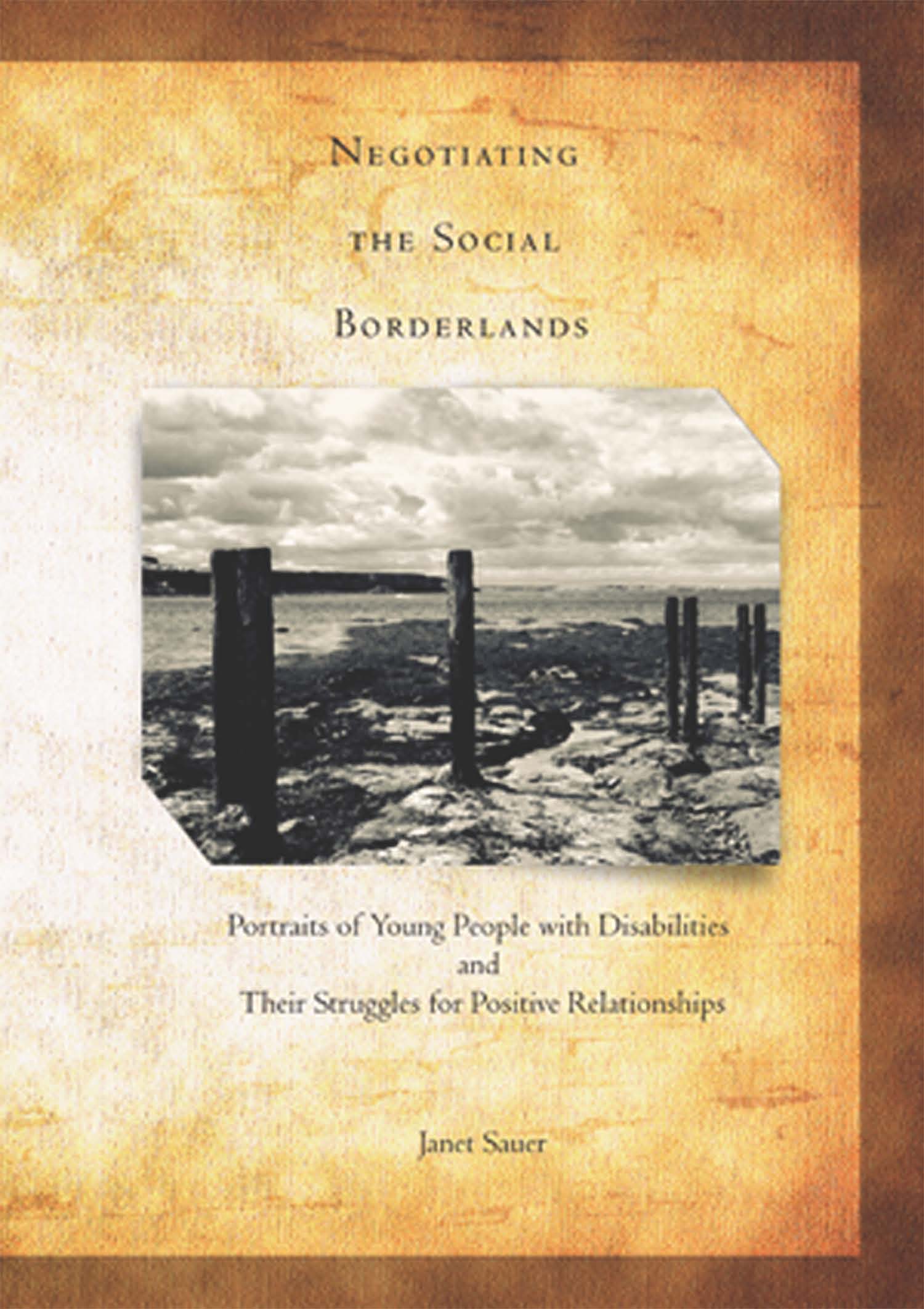 Negotiating social borderlands book cover